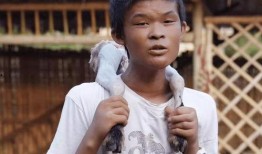 小马云直播爆料视频,独家爆料背后的故事